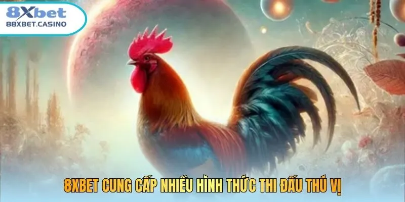 8XBET cung cấp nhiều hình thức thi đấu thú vị